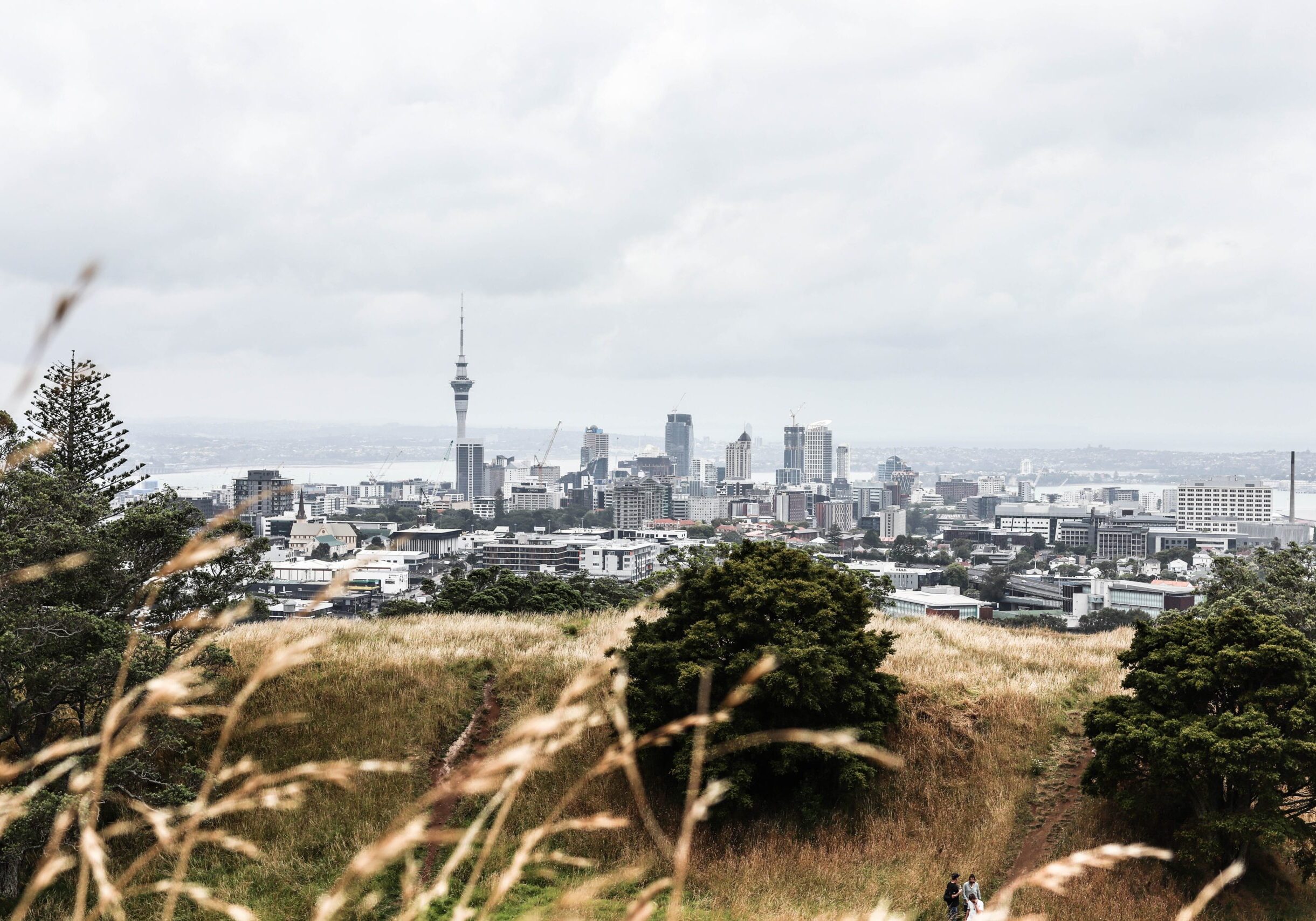 Auckland city skyline